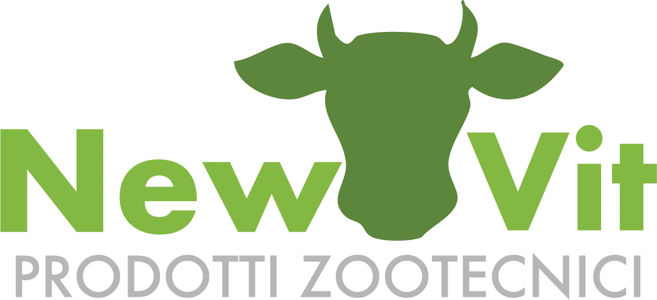 NEWVIT : Brand Short Description Type Here.